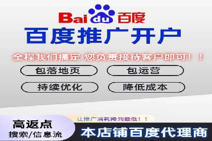 案例分析：竞价推广实战中的困境与突破